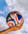 xc sports Logo